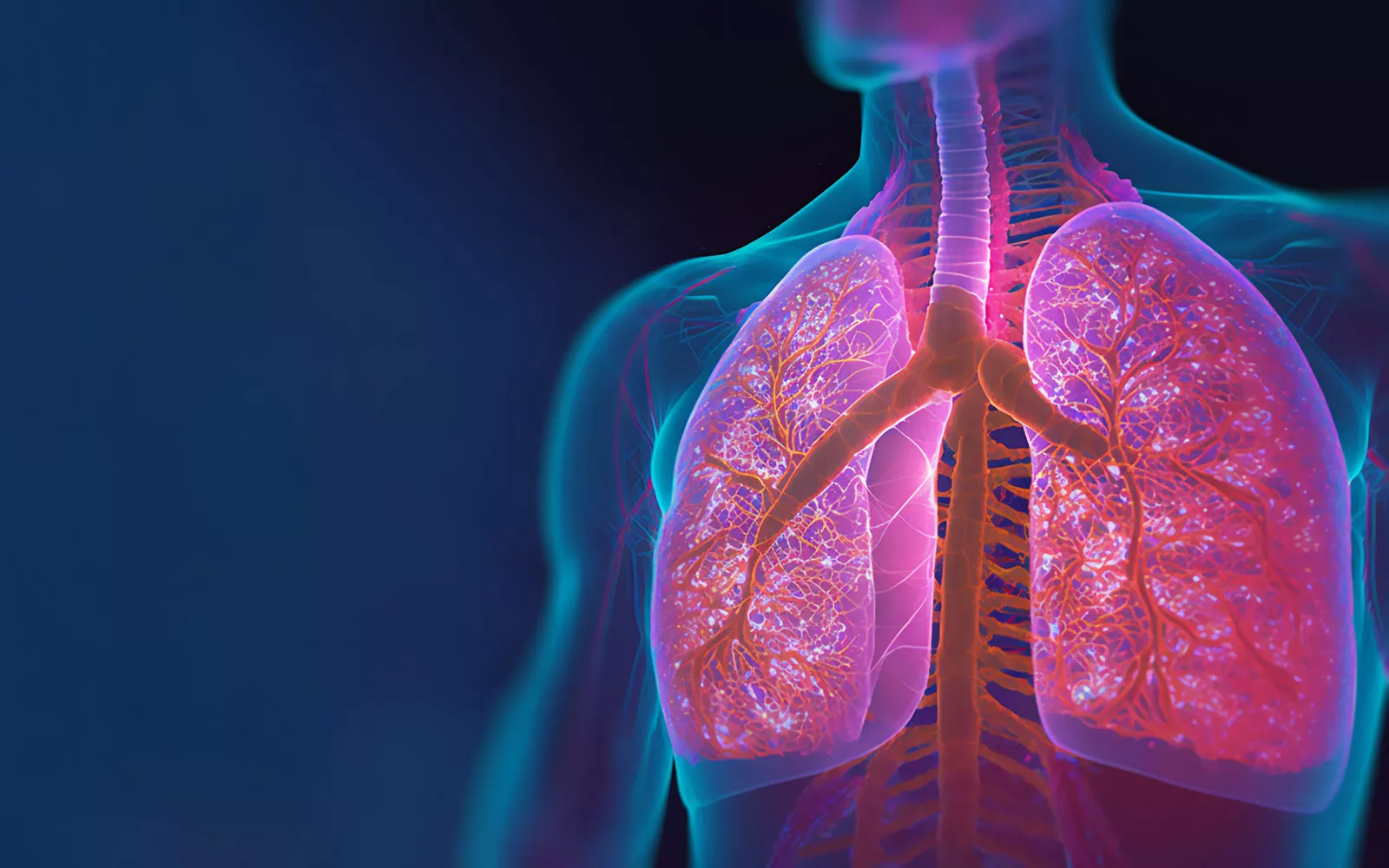 Newsletter: Attività Specialistica di Pneumologia 