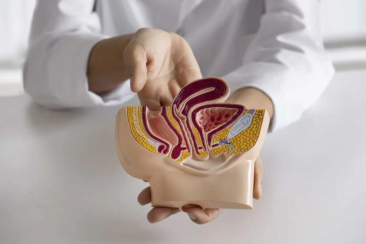 Newsletter: Attività specialistica di Proctologia e Visita Chirurgica 